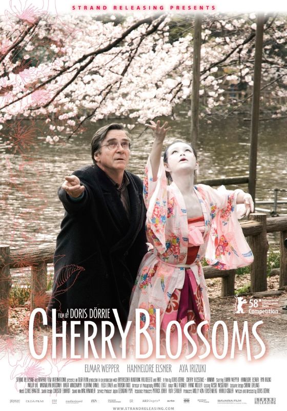 Cherry Blossoms - Hanami