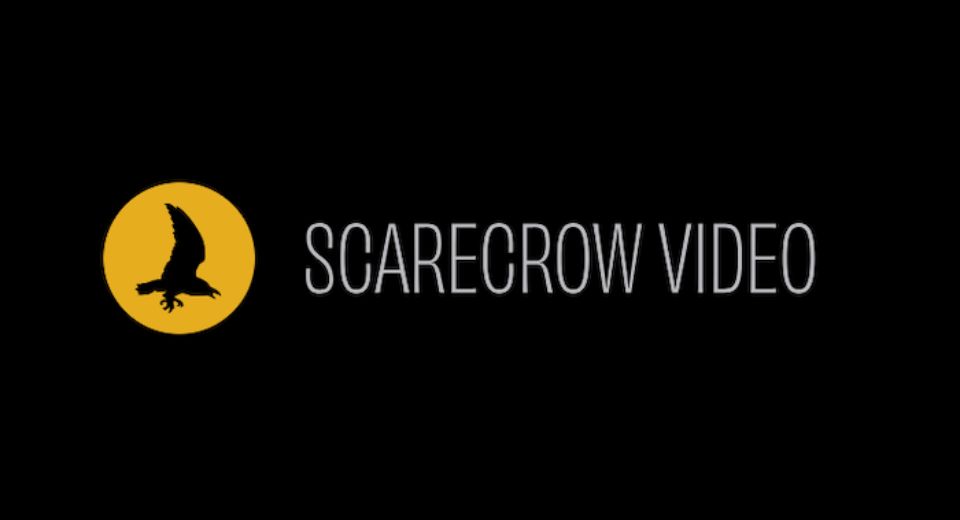 Scarecrow Video